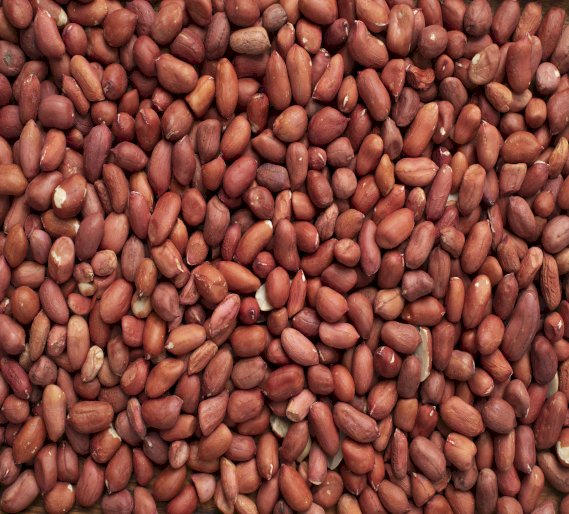 Amar International's Finest Export Peanuts