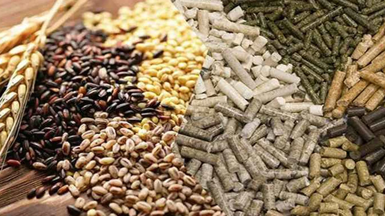 Animal Feed - Amar International